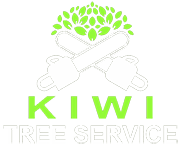 Kiwi Tree Service Logo